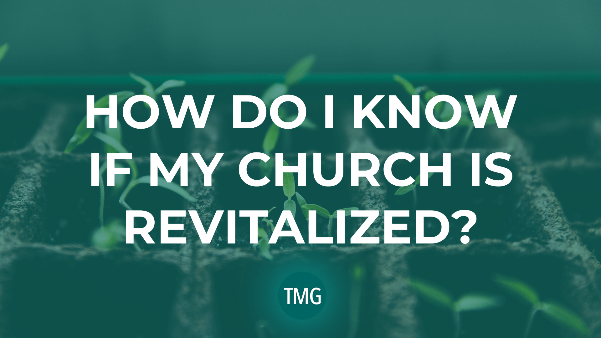 how-do-i-know-if-my-church-is-revitalized-the-church-revitalization-podast-malphurs-group-header-image how-do-i-know-if-my-church-is-revitalized-the-church-revitalization-podast-malphurs-group-header-image